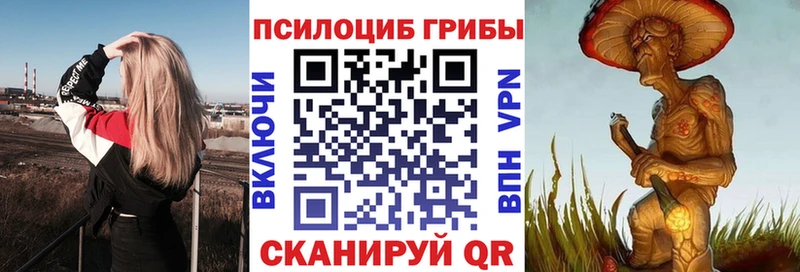 mega   что такое   Новоалександровск  Галлюциногенные грибы ЛСД 